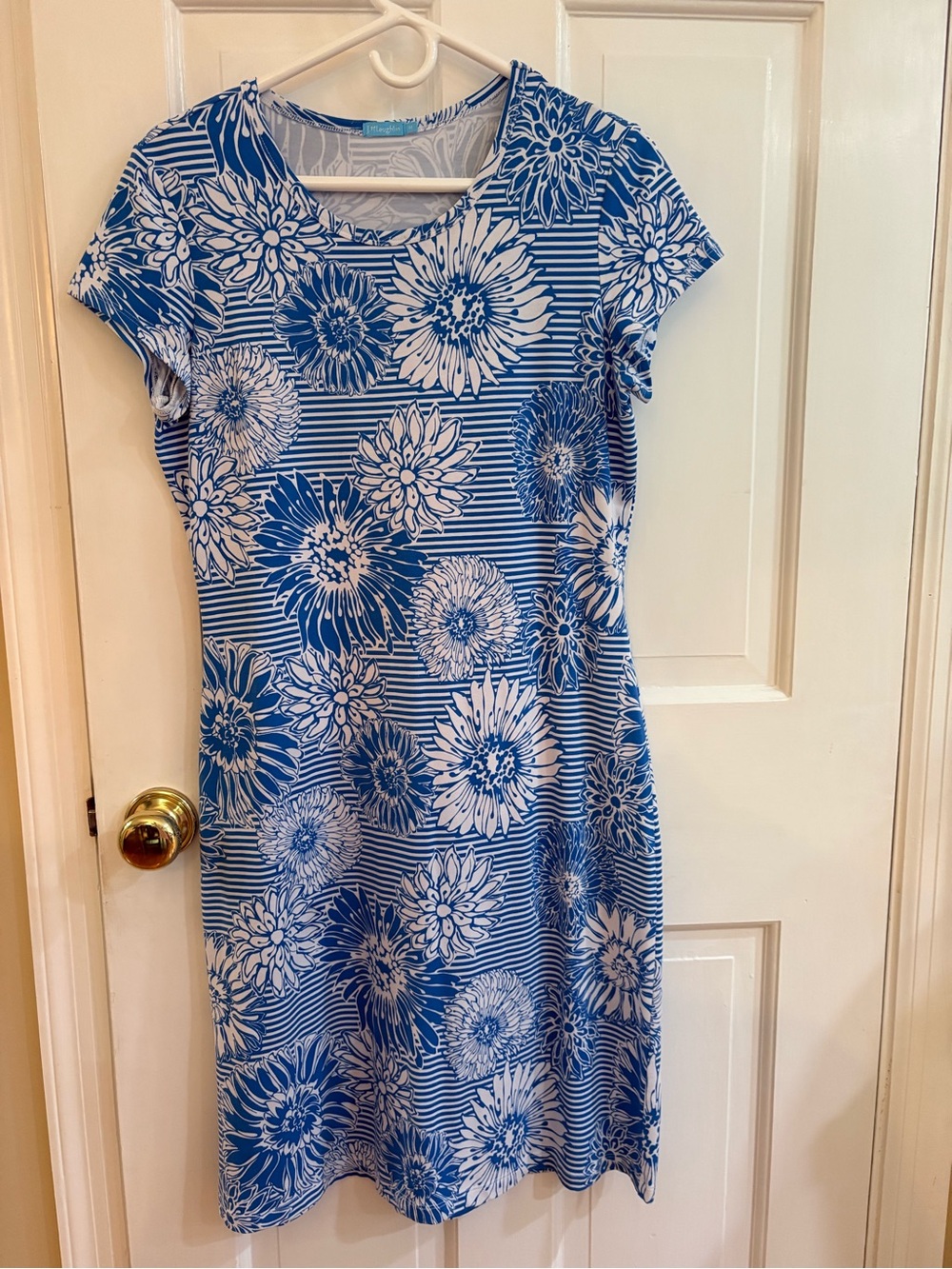 Blue Floral Stripe Short Sleeve Casual Dress